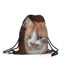 Рюкзак-мешок 3D с принтом Кот в Санкт-Петербурге, 100% полиэстер | плотность ткани — 200 г/м2, размер — 35 х 45 см; лямки — толстые шнурки, застежка на шнуровке, без карманов и подкладки | домашняя | животное | кот | котэ | кошка