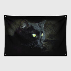 Флаг-баннер с принтом Черный в Санкт-Петербурге, 100% полиэстер | размер 67 х 109 см, плотность ткани — 95 г/м2; по краям флага есть четыре люверса для крепления | домашняя | животное | кот | котэ | кошка | черный