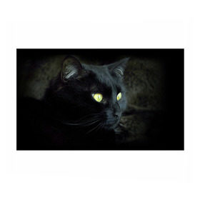 Бумага для упаковки 3D с принтом Черный в Санкт-Петербурге, пластик и полированная сталь | круглая форма, металлическое крепление в виде кольца | домашняя | животное | кот | котэ | кошка | черный