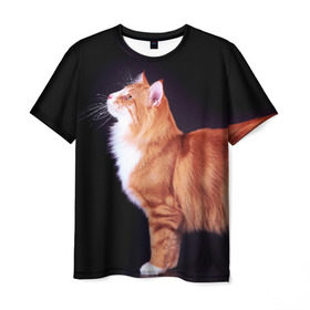 Мужская футболка 3D с принтом Рыжий кот в Санкт-Петербурге, 100% полиэфир | прямой крой, круглый вырез горловины, длина до линии бедер | домашняя | животное | кот | котэ | кошка | рыжая