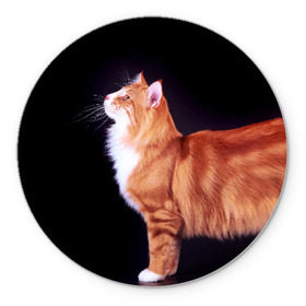 Коврик круглый с принтом Рыжий кот в Санкт-Петербурге, резина и полиэстер | круглая форма, изображение наносится на всю лицевую часть | Тематика изображения на принте: домашняя | животное | кот | котэ | кошка | рыжая