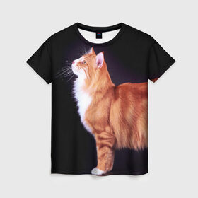 Женская футболка 3D с принтом Рыжий кот в Санкт-Петербурге, 100% полиэфир ( синтетическое хлопкоподобное полотно) | прямой крой, круглый вырез горловины, длина до линии бедер | домашняя | животное | кот | котэ | кошка | рыжая
