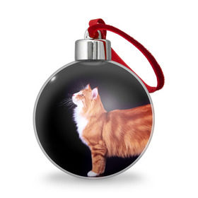 Ёлочный шар с принтом Рыжий кот в Санкт-Петербурге, Пластик | Диаметр: 77 мм | Тематика изображения на принте: домашняя | животное | кот | котэ | кошка | рыжая