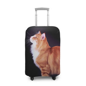 Чехол для чемодана 3D с принтом Рыжий кот в Санкт-Петербурге, 86% полиэфир, 14% спандекс | двустороннее нанесение принта, прорези для ручек и колес | домашняя | животное | кот | котэ | кошка | рыжая