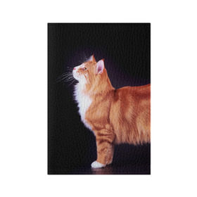 Обложка для паспорта матовая кожа с принтом Рыжий кот в Санкт-Петербурге, натуральная матовая кожа | размер 19,3 х 13,7 см; прозрачные пластиковые крепления | Тематика изображения на принте: домашняя | животное | кот | котэ | кошка | рыжая