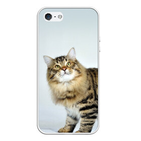 Чехол силиконовый для Телефон Apple iPhone 5/5S с принтом Кот в Санкт-Петербурге, Силикон | Область печати: задняя сторона чехла, без боковых панелей | Тематика изображения на принте: домашняя | животное | кот | котэ | кошка