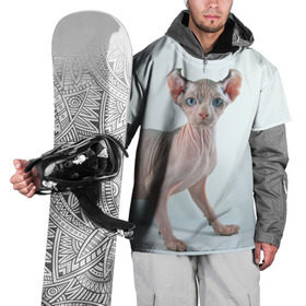 Накидка на куртку 3D с принтом Сфинкс в Санкт-Петербурге, 100% полиэстер |  | Тематика изображения на принте: домашняя | животное | кот | котэ | кошка | сфинкс