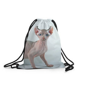 Рюкзак-мешок 3D с принтом Сфинкс в Санкт-Петербурге, 100% полиэстер | плотность ткани — 200 г/м2, размер — 35 х 45 см; лямки — толстые шнурки, застежка на шнуровке, без карманов и подкладки | домашняя | животное | кот | котэ | кошка | сфинкс
