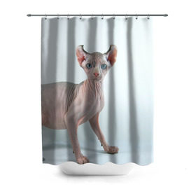 Штора 3D для ванной с принтом Сфинкс в Санкт-Петербурге, 100% полиэстер | плотность материала — 100 г/м2. Стандартный размер — 146 см х 180 см. По верхнему краю — пластиковые люверсы для креплений. В комплекте 10 пластиковых колец | домашняя | животное | кот | котэ | кошка | сфинкс