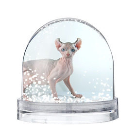 Снежный шар с принтом Сфинкс в Санкт-Петербурге, Пластик | Изображение внутри шара печатается на глянцевой фотобумаге с двух сторон | домашняя | животное | кот | котэ | кошка | сфинкс