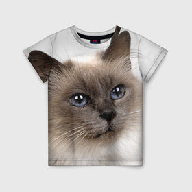 Детская футболка 3D с принтом Кот в Санкт-Петербурге, 100% гипоаллергенный полиэфир | прямой крой, круглый вырез горловины, длина до линии бедер, чуть спущенное плечо, ткань немного тянется | домашняя | животное | кот | котэ | кошка
