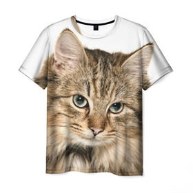 Мужская футболка 3D с принтом Кот в Санкт-Петербурге, 100% полиэфир | прямой крой, круглый вырез горловины, длина до линии бедер | домашняя | животное | кот | котэ | кошка