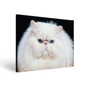Холст прямоугольный с принтом Персидский кот в Санкт-Петербурге, 100% ПВХ |  | домашняя | животное | кот | котэ | кошка | персидский
