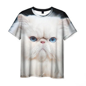 Мужская футболка 3D с принтом Персидский кот в Санкт-Петербурге, 100% полиэфир | прямой крой, круглый вырез горловины, длина до линии бедер | Тематика изображения на принте: домашняя | животное | кот | котэ | кошка | персидский