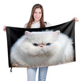 Флаг 3D с принтом Персидский кот в Санкт-Петербурге, 100% полиэстер | плотность ткани — 95 г/м2, размер — 67 х 109 см. Принт наносится с одной стороны | домашняя | животное | кот | котэ | кошка | персидский