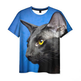 Мужская футболка 3D с принтом Черный кот в Санкт-Петербурге, 100% полиэфир | прямой крой, круглый вырез горловины, длина до линии бедер | домашняя | животное | кот | котэ | кошка | черный