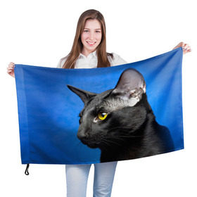 Флаг 3D с принтом Черный кот в Санкт-Петербурге, 100% полиэстер | плотность ткани — 95 г/м2, размер — 67 х 109 см. Принт наносится с одной стороны | домашняя | животное | кот | котэ | кошка | черный