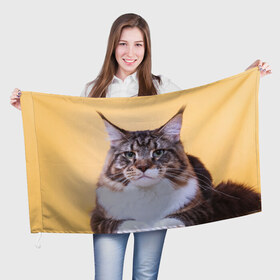 Флаг 3D с принтом Байкун в Санкт-Петербурге, 100% полиэстер | плотность ткани — 95 г/м2, размер — 67 х 109 см. Принт наносится с одной стороны | байкун | домашняя | животное | кот | котэ | кошка