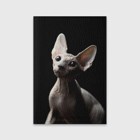 Обложка для паспорта матовая кожа с принтом Сфинкс в Санкт-Петербурге, натуральная матовая кожа | размер 19,3 х 13,7 см; прозрачные пластиковые крепления | Тематика изображения на принте: домашняя | животное | кот | котэ | кошка | сфинкс