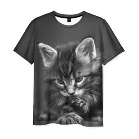 Мужская футболка 3D с принтом Котенок в Санкт-Петербурге, 100% полиэфир | прямой крой, круглый вырез горловины, длина до линии бедер | домашняя | животное | кот | котэ | кошка