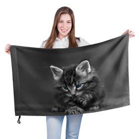 Флаг 3D с принтом Котенок в Санкт-Петербурге, 100% полиэстер | плотность ткани — 95 г/м2, размер — 67 х 109 см. Принт наносится с одной стороны | домашняя | животное | кот | котэ | кошка