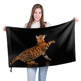 Флаг 3D с принтом Бенгальская кошка в Санкт-Петербурге, 100% полиэстер | плотность ткани — 95 г/м2, размер — 67 х 109 см. Принт наносится с одной стороны | бенгальская | домашняя | животное | кот | котэ | кошка