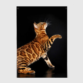 Постер с принтом Бенгальская кошка в Санкт-Петербурге, 100% бумага
 | бумага, плотность 150 мг. Матовая, но за счет высокого коэффициента гладкости имеет небольшой блеск и дает на свету блики, но в отличии от глянцевой бумаги не покрыта лаком | бенгальская | домашняя | животное | кот | котэ | кошка