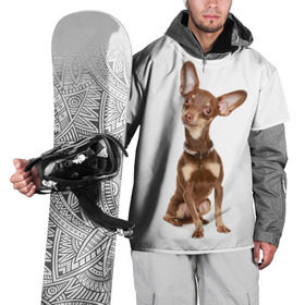 Накидка на куртку 3D с принтом Той-терьер в Санкт-Петербурге, 100% полиэстер |  | Тематика изображения на принте: животное | порода | собака | той терьер