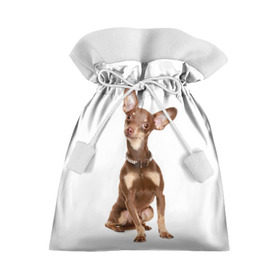 Подарочный 3D мешок с принтом Той-терьер в Санкт-Петербурге, 100% полиэстер | Размер: 29*39 см | Тематика изображения на принте: животное | порода | собака | той терьер