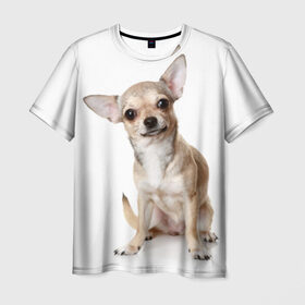 Мужская футболка 3D с принтом Чихуахуа в Санкт-Петербурге, 100% полиэфир | прямой крой, круглый вырез горловины, длина до линии бедер | животное | порода | собака | чихуахуа