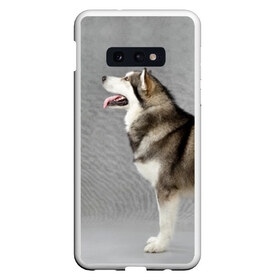 Чехол для Samsung S10E с принтом Аляскинский маламут в Санкт-Петербурге, Силикон | Область печати: задняя сторона чехла, без боковых панелей | аляскинский маламут | животное | порода | собака