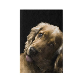 Обложка для паспорта матовая кожа с принтом Английский кокер-спаниель в Санкт-Петербурге, натуральная матовая кожа | размер 19,3 х 13,7 см; прозрачные пластиковые крепления | английский кокер спаниель | животно | порода | собака