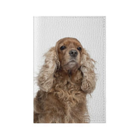 Обложка для паспорта матовая кожа с принтом Английский кокер-спаниель в Санкт-Петербурге, натуральная матовая кожа | размер 19,3 х 13,7 см; прозрачные пластиковые крепления | английский кокер спаниель | порода | собака
