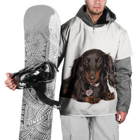 Накидка на куртку 3D с принтом Карликовая такса в Санкт-Петербурге, 100% полиэстер |  | Тематика изображения на принте: животное | карликовая такса | порода | собака