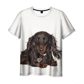 Мужская футболка 3D с принтом Карликовая такса в Санкт-Петербурге, 100% полиэфир | прямой крой, круглый вырез горловины, длина до линии бедер | Тематика изображения на принте: животное | карликовая такса | порода | собака