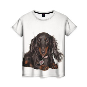 Женская футболка 3D с принтом Карликовая такса в Санкт-Петербурге, 100% полиэфир ( синтетическое хлопкоподобное полотно) | прямой крой, круглый вырез горловины, длина до линии бедер | животное | карликовая такса | порода | собака