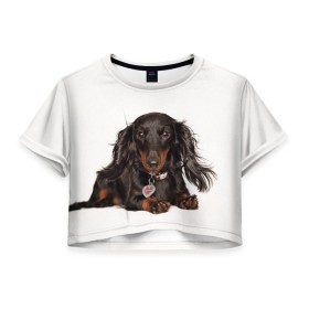 Женская футболка 3D укороченная с принтом Карликовая такса в Санкт-Петербурге, 100% полиэстер | круглая горловина, длина футболки до линии талии, рукава с отворотами | Тематика изображения на принте: животное | карликовая такса | порода | собака