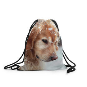Рюкзак-мешок 3D с принтом Золотистый ретривер в Санкт-Петербурге, 100% полиэстер | плотность ткани — 200 г/м2, размер — 35 х 45 см; лямки — толстые шнурки, застежка на шнуровке, без карманов и подкладки | животное | золотистый ретривер | порода | собака