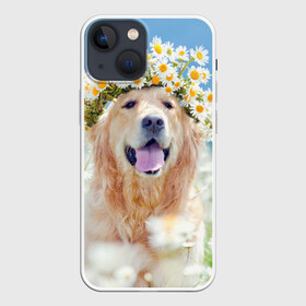 Чехол для iPhone 13 mini с принтом Золотистый ретривер в Санкт-Петербурге,  |  | животное | золотистый ретривер | порода | собака