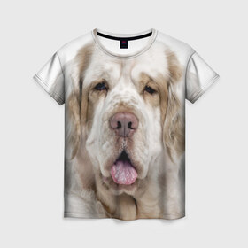 Женская футболка 3D с принтом Кламбер-спаниель в Санкт-Петербурге, 100% полиэфир ( синтетическое хлопкоподобное полотно) | прямой крой, круглый вырез горловины, длина до линии бедер | животное | кламбер спаниель | порода | собака