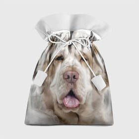 Подарочный 3D мешок с принтом Кламбер-спаниель в Санкт-Петербурге, 100% полиэстер | Размер: 29*39 см | животное | кламбер спаниель | порода | собака