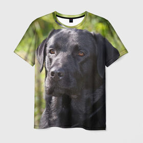 Мужская футболка 3D с принтом Лабрадор в Санкт-Петербурге, 100% полиэфир | прямой крой, круглый вырез горловины, длина до линии бедер | животное | лабрадор | порода | собака