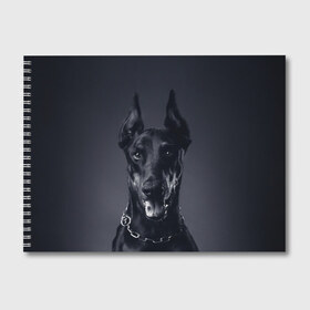 Альбом для рисования с принтом Доберман в Санкт-Петербурге, 100% бумага
 | матовая бумага, плотность 200 мг. | доберман | животное | порода | собака