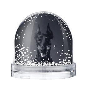 Снежный шар с принтом Доберман в Санкт-Петербурге, Пластик | Изображение внутри шара печатается на глянцевой фотобумаге с двух сторон | доберман | животное | порода | собака