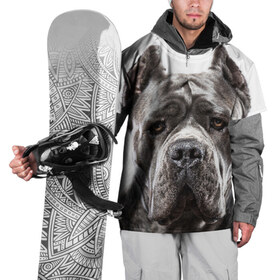 Накидка на куртку 3D с принтом Канне корсо в Санкт-Петербурге, 100% полиэстер |  | Тематика изображения на принте: животное | канне корсо | порода | собака