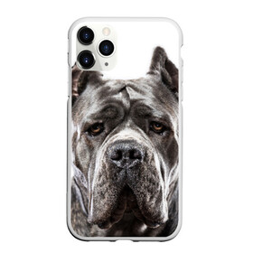Чехол для iPhone 11 Pro Max матовый с принтом Канне корсо в Санкт-Петербурге, Силикон |  | животное | канне корсо | порода | собака