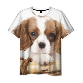 Мужская футболка 3D с принтом Кинг чарльз спаниель в Санкт-Петербурге, 100% полиэфир | прямой крой, круглый вырез горловины, длина до линии бедер | животное | кинг чарльз спаниель | порода | собака