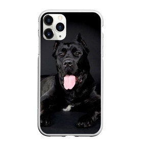 Чехол для iPhone 11 Pro Max матовый с принтом Канне корсо в Санкт-Петербурге, Силикон |  | животное | канне корсо | порода | собака