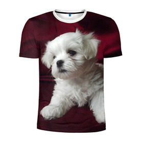 Мужская футболка 3D спортивная с принтом Мальтийская болонка в Санкт-Петербурге, 100% полиэстер с улучшенными характеристиками | приталенный силуэт, круглая горловина, широкие плечи, сужается к линии бедра | животное | мальтийская болонка | порода | собака