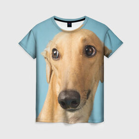 Женская футболка 3D с принтом Левретка в Санкт-Петербурге, 100% полиэфир ( синтетическое хлопкоподобное полотно) | прямой крой, круглый вырез горловины, длина до линии бедер | животное | порода | собака